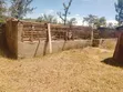 1 Acre Plot with 3-Room House in Thika-Maguguni - 2