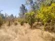 1 Acre Plot with 3-Room House in Thika-Maguguni - 3