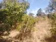 1 Acre Plot with 3-Room House in Thika-Maguguni - 5