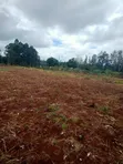 1.25 Acres Land for Sale in Kenol-Murang'a - 1
