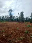 1.25 Acres Land for Sale in Kenol-Murang'a - 3