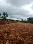 1.25 Acres Land for Sale in Kenol-Murang'a - 4