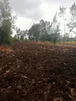 1.25 Acres Land for Sale in Kenol-Kamiigua - 2