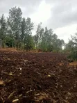 1.25 Acres Land for Sale in Kenol-Kamiigua - 3