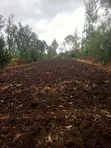 1.25 Acres Land for Sale in Kenol-Kamiigua - 4
