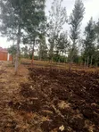 1.25 Acres Land for Sale in Kenol-Kamiigua - 5