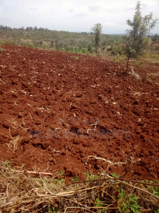 Kitalu cha 60x100 Ft cha Kuuzwa Kenol-Kagaa, Murang'a - 1