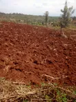 Kitalu cha 60x100 Ft cha Kuuzwa Kenol-Kagaa, Murang'a - 1
