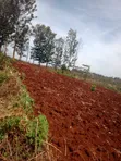 Kitalu cha 60x100 Ft cha Kuuzwa Kenol-Kagaa, Murang'a - 2