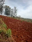 Kitalu cha 60x100 Ft cha Kuuzwa Kenol-Kagaa, Murang'a - 3