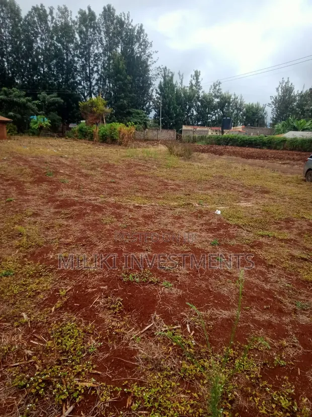 Prime Commercial/Residential Plots for Sale - Kagio, Kirinyaga - 1