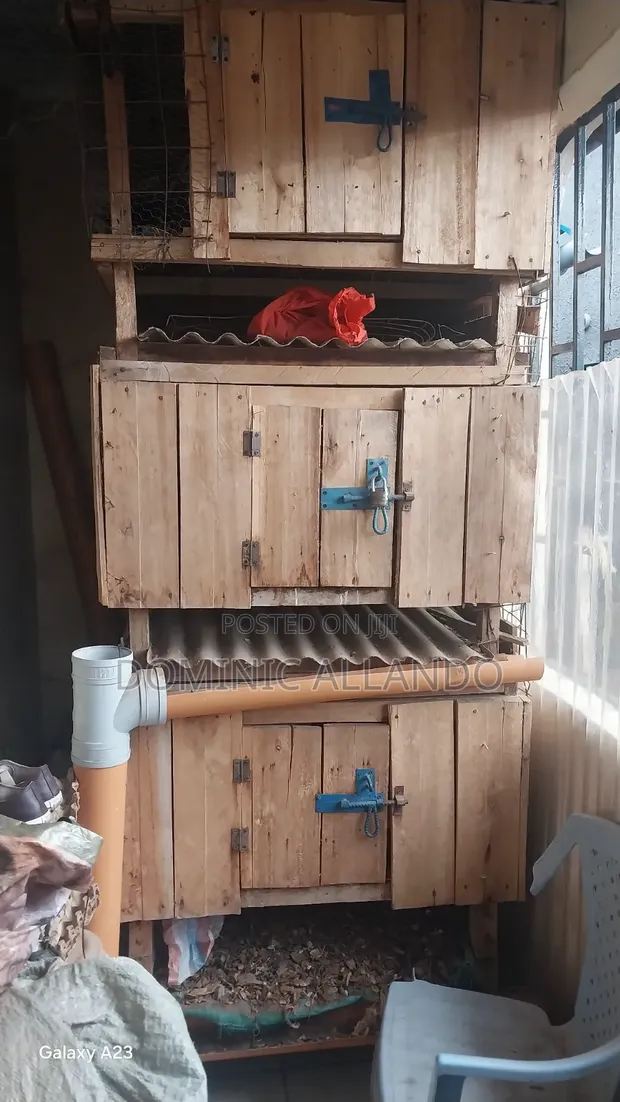 Three-Tier Rabbit Cage with Drainage - 1