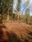 3-Bedroom Bungalow for Sale in Sabasaba, Kamahuha - 3