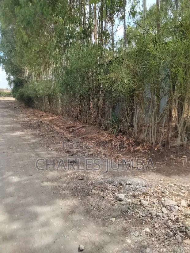 Ruai Plot in Green Spring Estate - 1