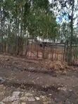 Ruai Plot in Green Spring Estate - 2