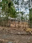 Ruai Plot in Green Spring Estate - 3