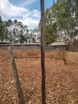 Ruai Plot in Green Spring Estate - 4