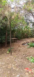 Ofisi Tulivu za Kupangisha Kilimani - 2