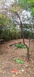 Ofisi Tulivu za Kupangisha Kilimani - 3
