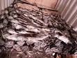 Subaru Driveshaft (Used) - 1