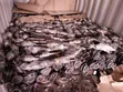 Subaru Driveshaft (Used) - 3