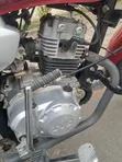 TVS HLX 125 2025 Nyekundu - 5
