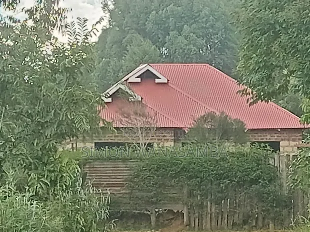 Sturntman Build & Roofers - Kitale - 1
