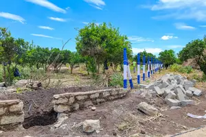 Orchard Plots for Sale in Kinanie