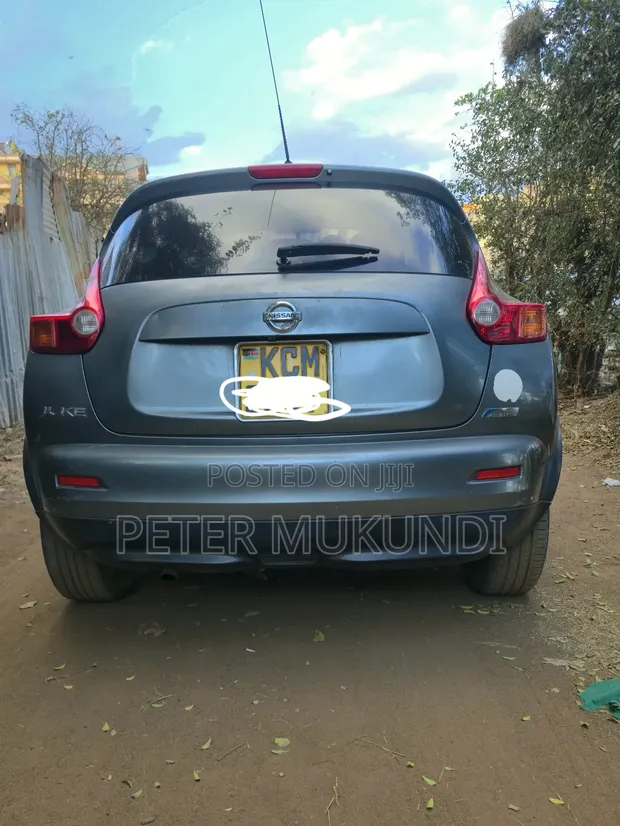 Nissan Juke 2011 Kijivu - 1