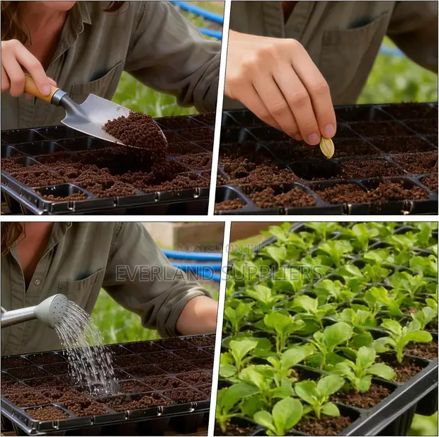 288 Cell Plastic Seedling Nursery Tray - 1