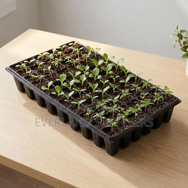 Reusable Plant Propagation Trays - 1