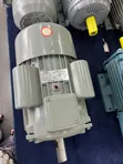 Seel Italy Single Phase Electric Motor (5 HP) - 2