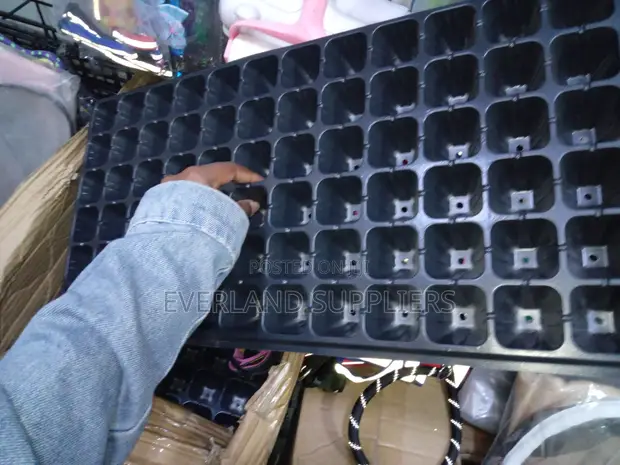 Vegetable Seedling Growing Trays - 1