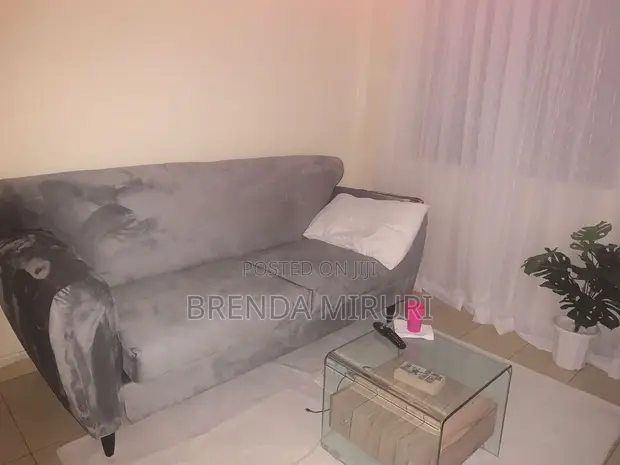 Grey 3 Seater Couch - 1