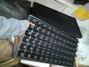 Convenient Plant Propagation Trays