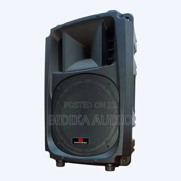 Explorer EXP 15P Passive Speaker - 1