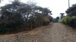 Three Acres Land for Sale or Lease in Kiserian - 2