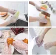 AfriSafe Disposable Gloves - Pack of 100 - 5