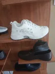 Brand New Sneakers - Multicolor - 2