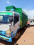 Truk Isuzu Elf - 2