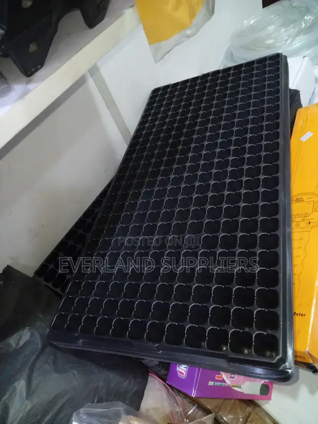 Organized Seed Planting Trays - 1