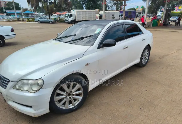 Toyota Mark X 2010 Nyeupe - 1