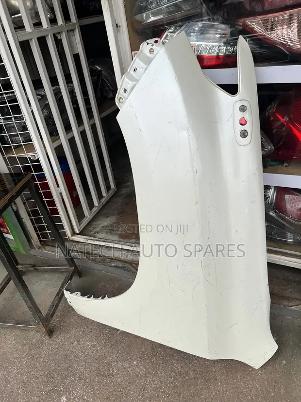 Toyota Prado 150 Fender - 1