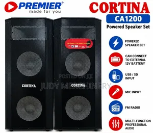 Cortina CA1200 Audio System