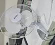 Premier 16-inch Wall Fan - 2