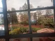 1 Bedroom Bedsitter for Rent in Ruaka - 5