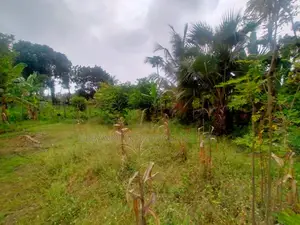 3 Bedroom Bungalow on 1 Acre in Kikambala
