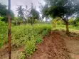 Bungalow ya Vyumba 3 kwenye Eka 1 huko Kikambala - 3