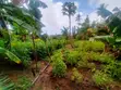 Bungalow ya Vyumba 3 kwenye Eka 1 huko Kikambala - 4