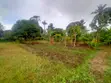 Bungalow ya Vyumba 3 kwenye Eka 1 huko Kikambala - 5